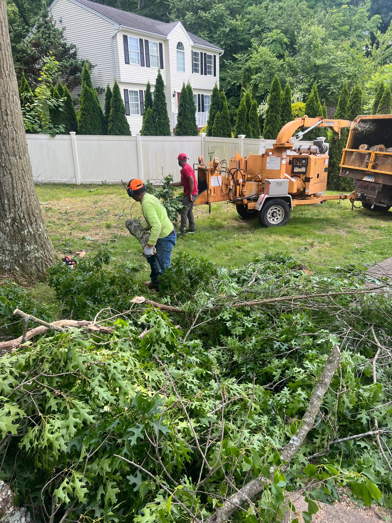 Tree Trimming Services